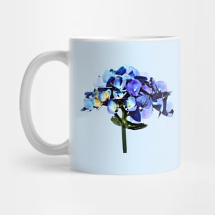 Small Blue Hydrangea Mug